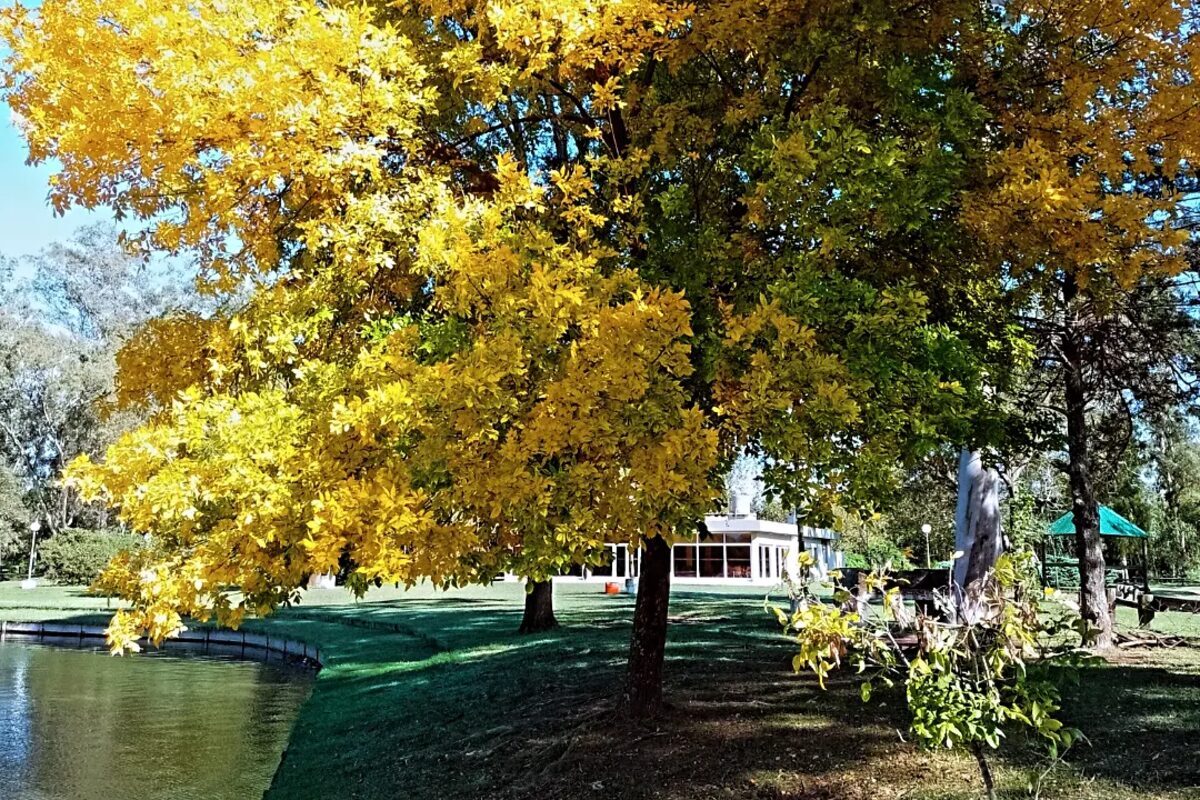 El lago en otoño, con la arboleda y el edificio del club